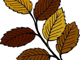 Unser Programm für die Herbstferien im Freizeitbereich