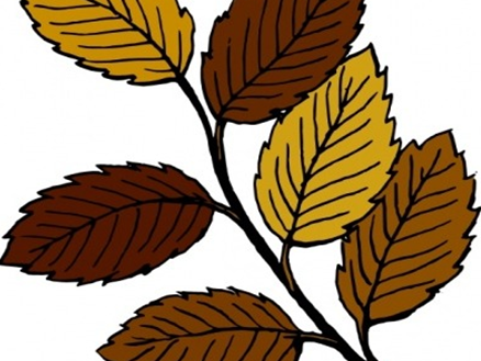 Unser Programm für die Herbstferien im Freizeitbereich